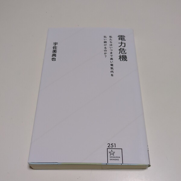 電力危機 私たちはいつまで高い電気代を払い続けるのか? (星海社新書 251) 宇佐美典也/著 中古