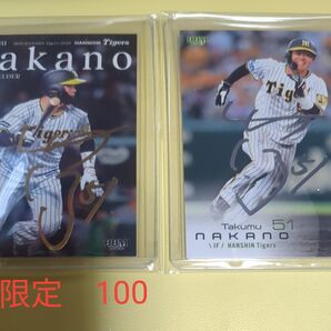 BBM 阪神タイガース