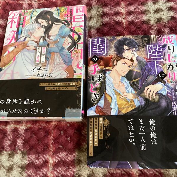 聖王猊下の箱入り花嫁 (ソーニャ文庫 い7-1) イチニ/著