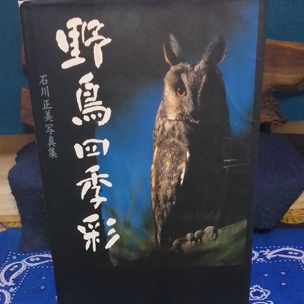 野鳥四季彩 石川正美写真集/石川正美 著 講談社出版サービスセンター刊