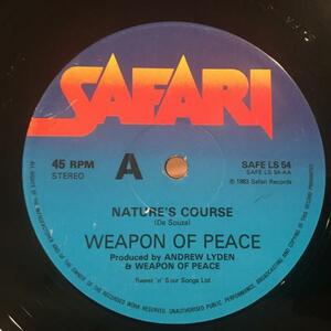 ★Weapon Of Peace/Nature's Course★メロウUKレゲエ！