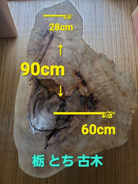 栃 古木