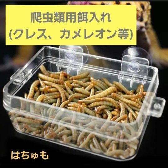 《新品未使用》 爬虫類 餌入れ 餌皿 クレステッドゲッコー カメレオン