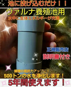 売れてます！池の水が綺麗になります☆【ヴァルナ☆養殖池用】自然由来の作用で透明度が増します☆池に入れるだけ！錦鯉の抵抗力もアップ☆