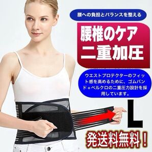 腰サポートベルト 骨盤矯正 腰用サポーター 腰痛ベルト 男女兼用 メッシュ L
