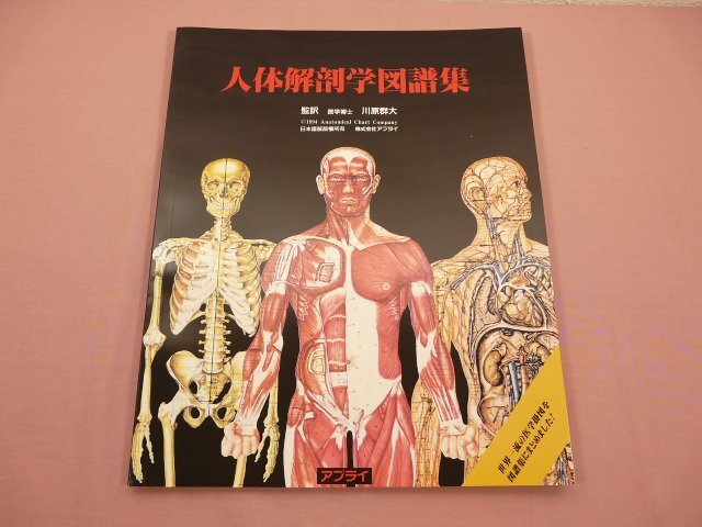 2025年最新】Yahoo!オークション -人体解剖学(医学一般)の中古品 2025年最新】Yahoo!オークション -人体解剖学(医学一般)の中古品