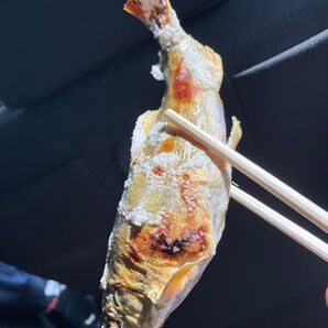 鮎の塩焼き
