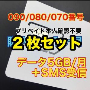 データ通信5GB/月 SMS受信可能SIMカード プリペイドSIM
