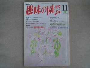 NHK　 趣味の園芸 平成 ５年 １１月号 　大ギク　 タカ102-2