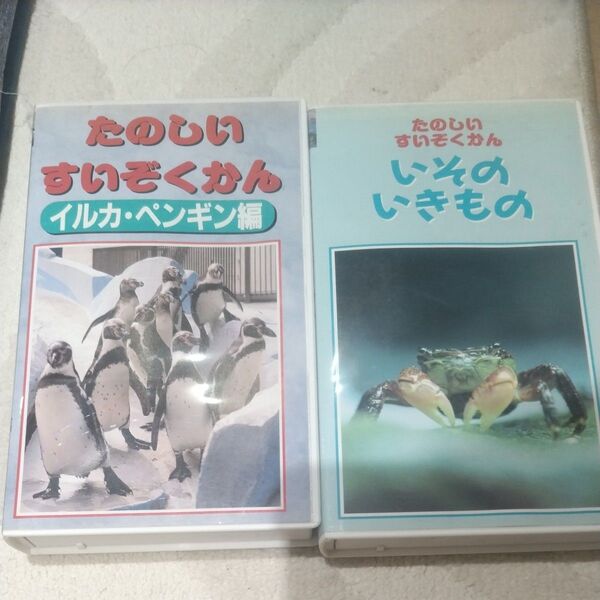 たのしいすいぞくかん VHS