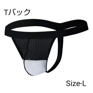 u-057 メンズ Tバックビキニパンツ