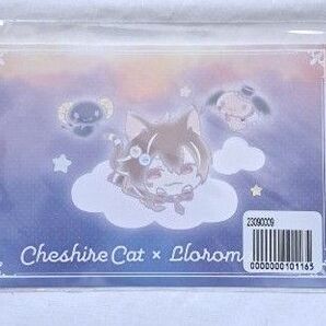 夢100 ポストカード チェシャ猫