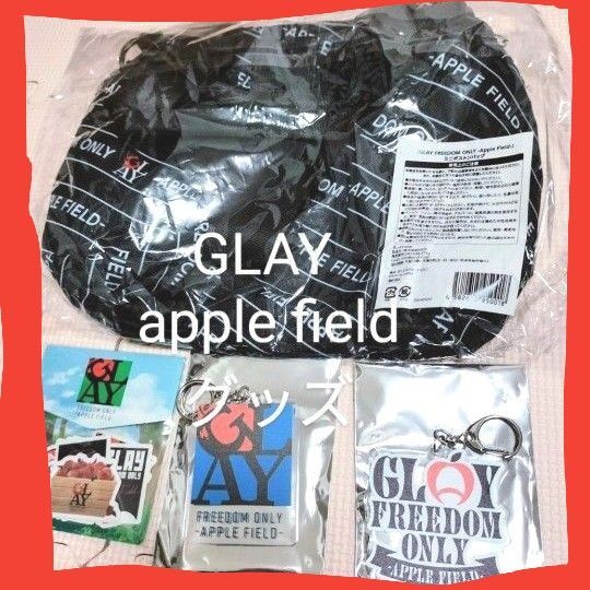 ※説明必読!価格相談不可!GLAY.applefieldグッズセット.TERU.TAKURO.HISASHI.JIRO