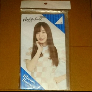 ★送料無料 乃木坂46 梅澤美波 チケットホルダー 逃げ水