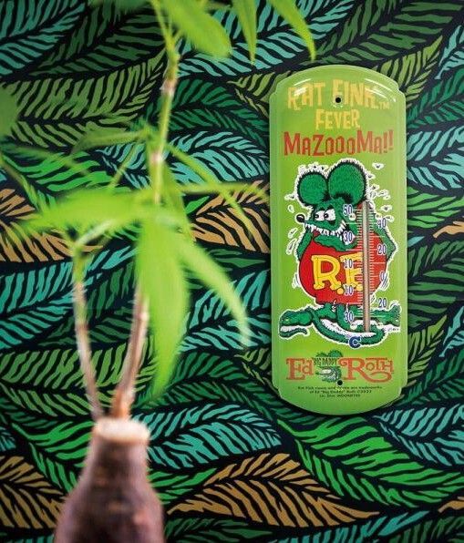 新入荷!!【Rat Fink 】ラットフィンク(o・ω・o)サーモメーター(温度計)定番COLOR グリーン/ガレージ