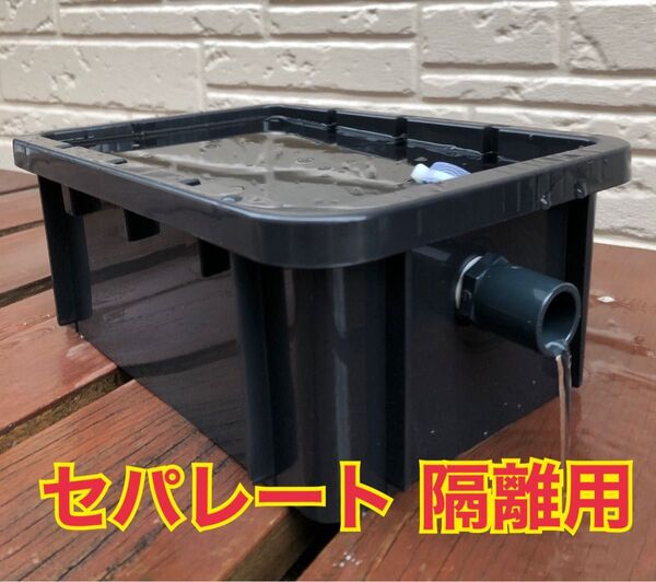 メダカ飼育ケース セパレート ブラック