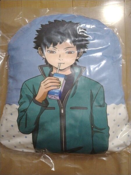 ワールドトリガー 風間蒼也 描き下ろし むにゃもち クッション 風間 蒼也
