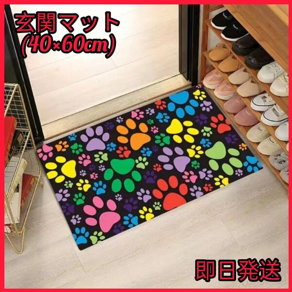 玄関マット 室内 キッチン 洗面所 吸水 速乾性 軽量 コンパクト かわいい マット バスマット キッチンマット おしゃれ