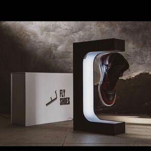 限定品.*.レア.*.FLYSHOES エキシビジョンスニーカースタンド