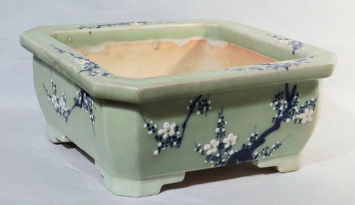 尾張焼 瀬戸焼 青磁 盆栽鉢 陽刻 文植鉢 盆栽道具 花器 祖洞園池 尾張焼 瀬戸焼 青磁 盆栽鉢 陽刻 文植鉢 盆栽道具 花器 祖洞園池