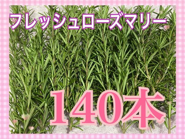 無農薬栽培フレッシュローズマリー140本