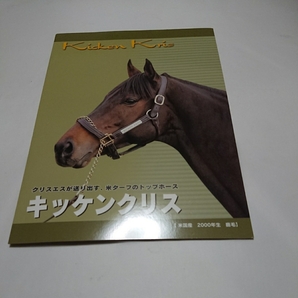 キッケンクリス 種牡馬パンフレット 定形外郵便送料無料 デザーモ騎手