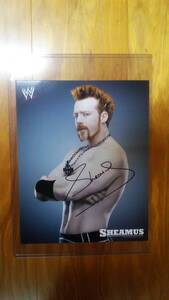 WWE Sheamus シェイマス 直筆サイン