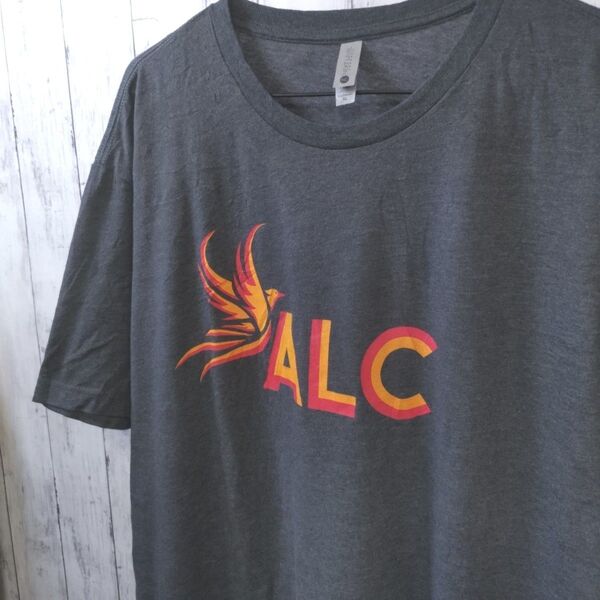 NEXT LEVEL ネクストレベル US 古着 Tシャツ XL グレー系 ロゴ