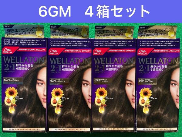 6GM 4箱セット ウエラトーン ツープラスワン クリームヘアカラー