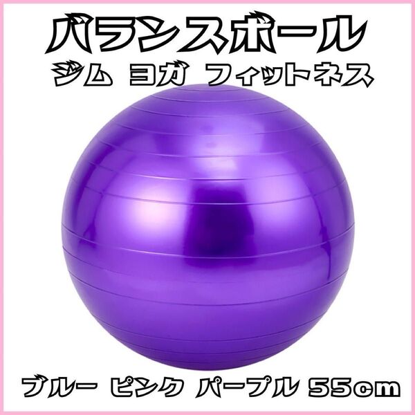バランスボール ブルー ヨガ フィットネス ジム ダイエット 筋トレ 体幹 55cm