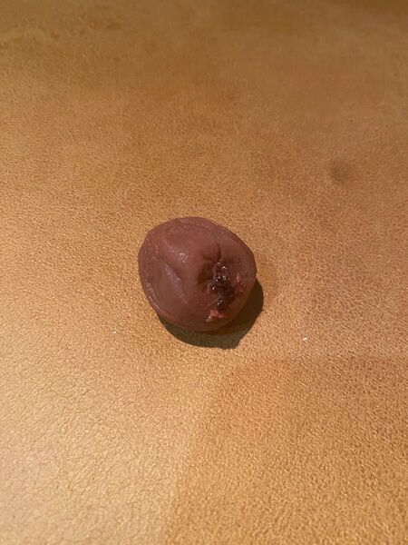 食品サンプル 梅干し