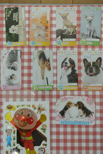 犬カード☆８枚☆美品