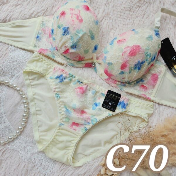 №860【C70】ブラジャー&フルバックショーツ