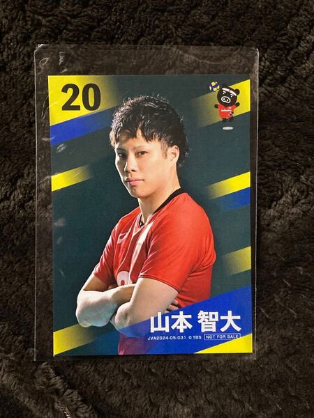 【山本智大】ネーションズリーグ2024★特典トレカ TBS 男子バレー 日本代表 龍神 非売品