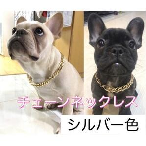 チャラい犬 ネックレス シルバー色 チェーンネックレス かっこいいチョーカー