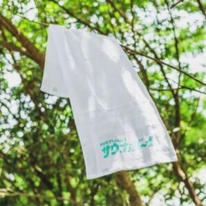 非売品 サウナボーイ タオル SAUNA BOY BEAMS サウナイキタイ 手ぬぐい 限定 ステッカー シール 温泉 銭湯 風呂