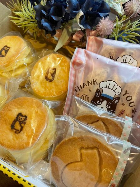 【即購入大歓迎】ビスコッティだにゃーんセット