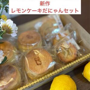【即購入大歓迎】レモンケーキだにゃーんセット