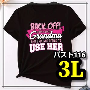 大きいサイズ レディース メンズ 半袖 Tシャツ オーバサイズ プリントTシャツ ブラック アメカジ XL 3L 4L 柄シャツ