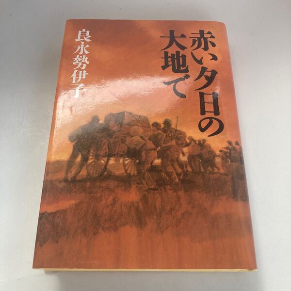 ◇送料無料◇ 赤い夕日の大地で 良永勢伊子 カネボウ スペシャル入賞作品集 読売新聞社♪GE06