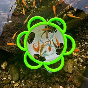 めだか 餌拡散防止容器小さいタイプ 飼育ケース