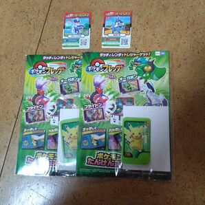 ポケモンフレンダ サポートカード付き