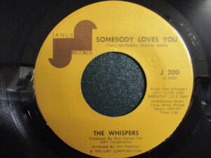 The Whispers ： Somebody Loves You 7'' / 45s ★ Soul / Funk ☆ c/w Can We Love Forever // シングル盤 / EP