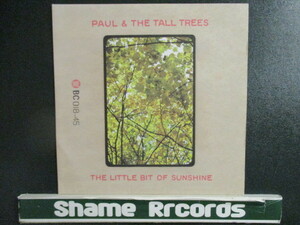 Paul & The Tall Trees ： The Little Bit Of Sunshine 7'' / 45s ★ 現行Funk / オルタナ / インディー / Rock Band ☆ Once In A While