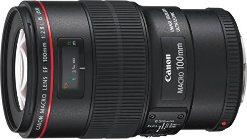 2025年最新】Yahoo!オークション -ef100mm f2.8l マクロ is usm 2025年最新】Yahoo!オークション -ef100mm f2.8l マクロ is usm