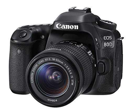 2025年最新】Yahoo!オークション -canon eos 80d 中古の中古品 2025年最新】Yahoo!オークション -canon eos 80d 中古の中古品