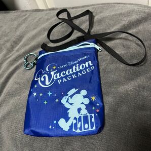 未使用☆ディズニー☆バケーションパッケージ☆ポシェット