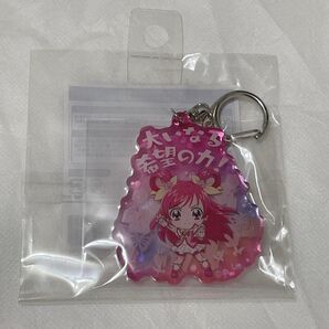 プリキュア アクキー ドリーム