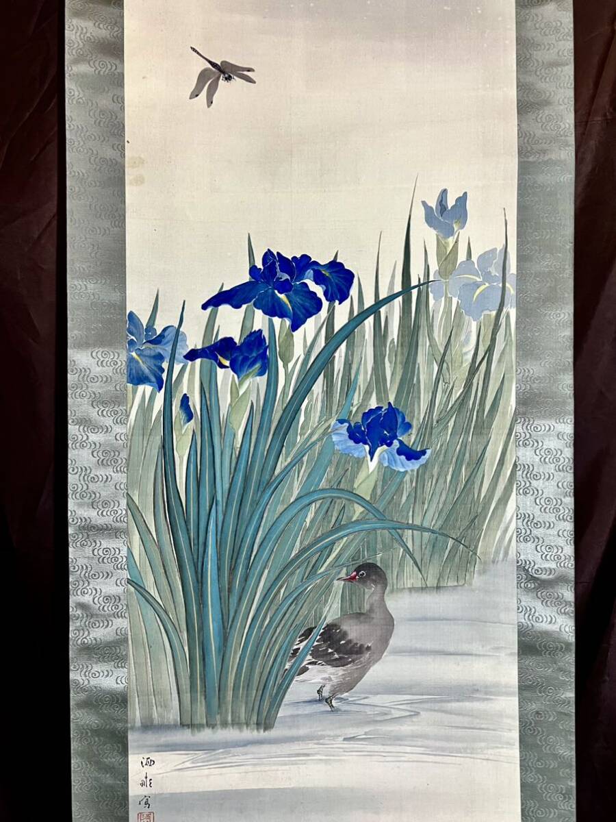 ☆【菖蒲図 あやめ】栖苑○絹本肉筆・共箱付 日本画 五月花 花鳥 ☆【菖蒲図 あやめ】栖苑○絹本肉筆・共箱付 日本画 五月花 花鳥