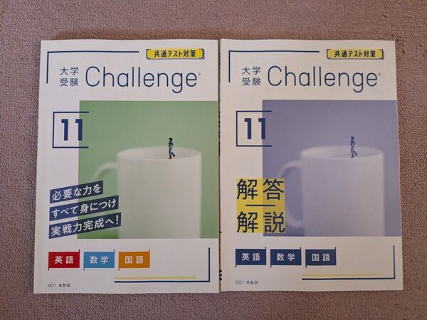 進研ゼミ大学受験Challenge 共通テスト対策